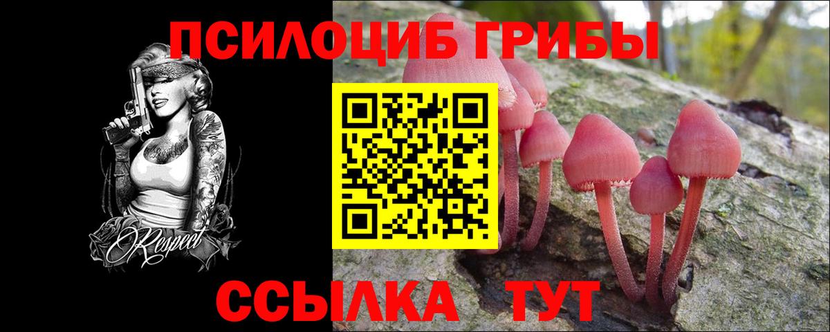 Белогорск  Галлюциногенные грибы Psilocybe  Вход с VPN 